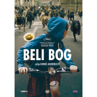 BELI BOG