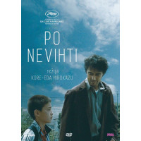 PO NEVIHTI